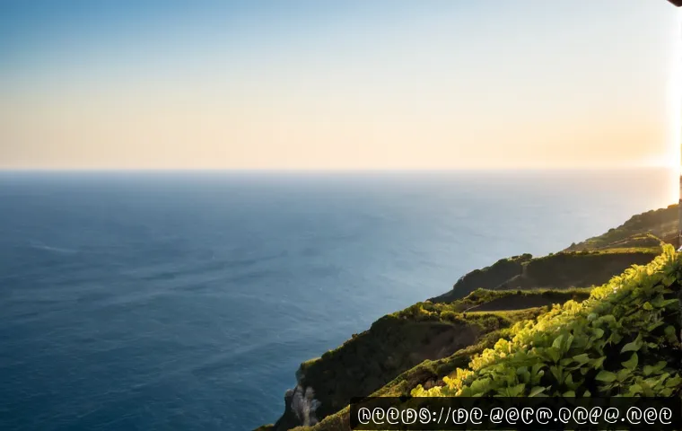 피부과 여드름 전용 패키지 관련 이미지 2